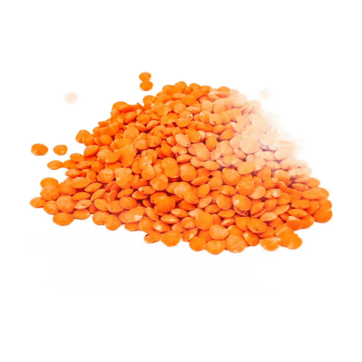 La Dietetica - Lentejas turcas x 500 gr