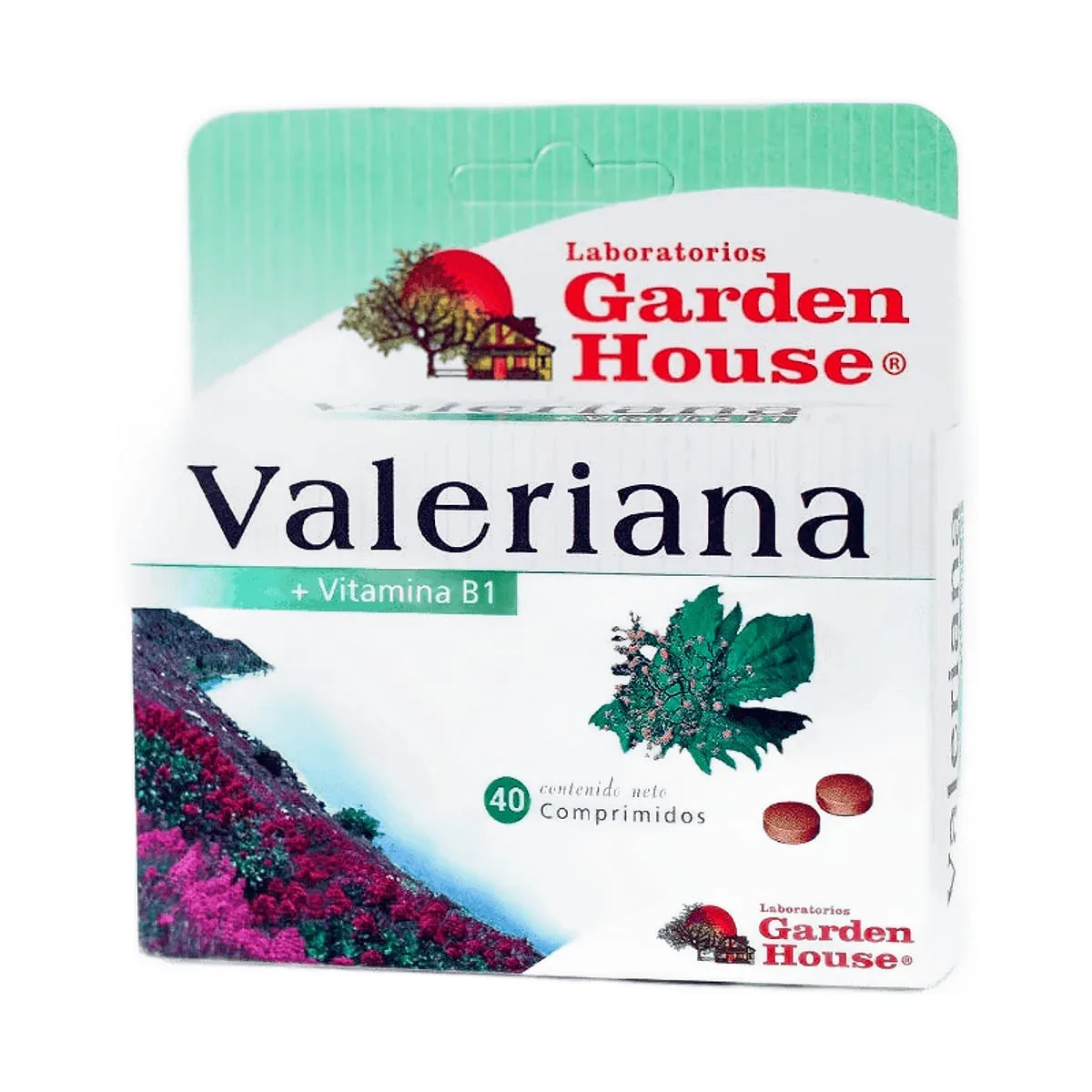 Garden House - Valeriana x 40 comp